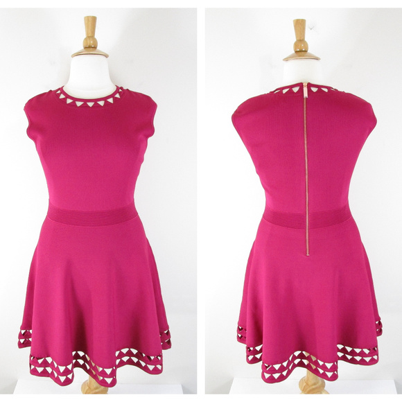 Ted Baker London Dresses & Skirts - Ted Baker London Pink Kathryn Knit Fit Flare Dress